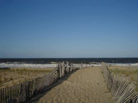 Surf Club Oceanfront Hotel Dewey Beach Eksteriør bilde